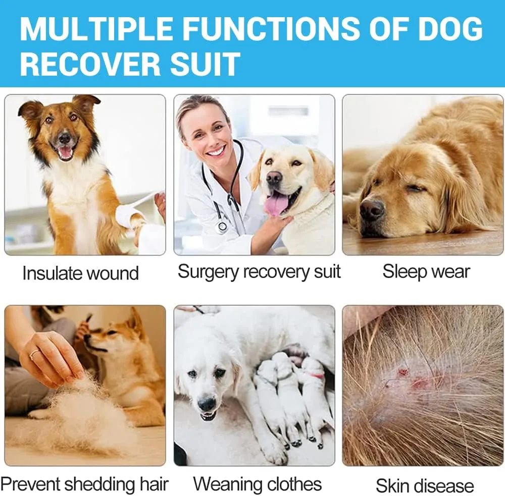 Dog Recovery Suit Abdominal Wound After Surgery Wear, Dog Anti-Licking Elastic Tights Bodysuit, Preventing Full Body for Shedding, Allergy, Wound Protection, E Collar Alternative