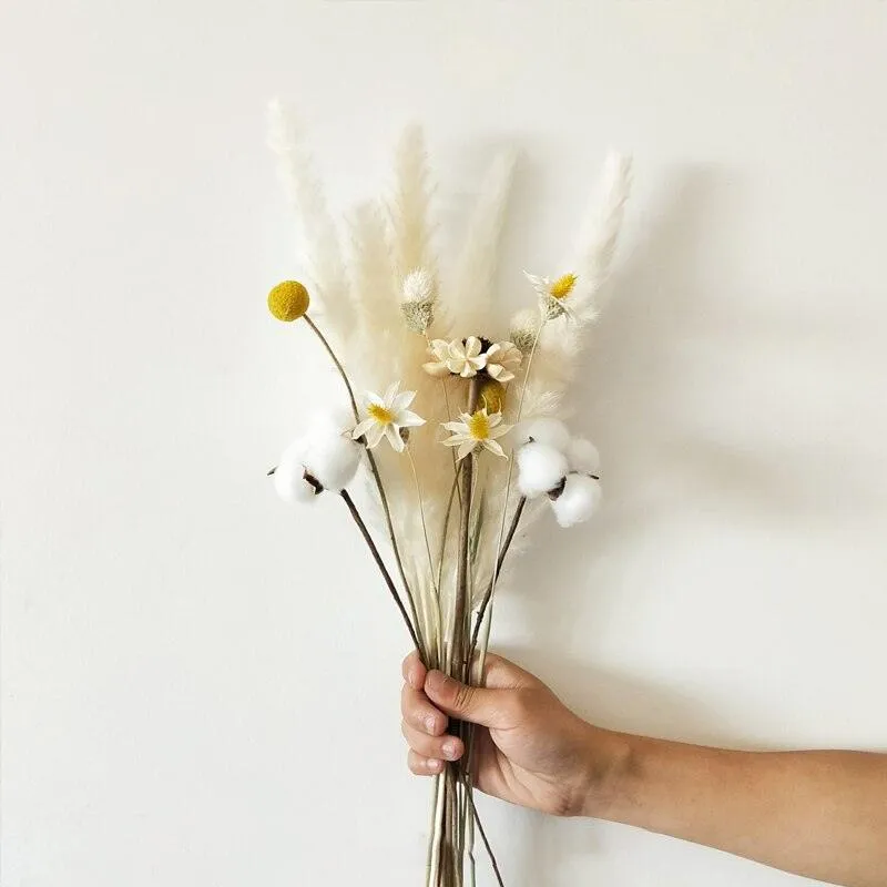 Elegant Dried Pampas Grass Arrangement for Trendy Home Styling