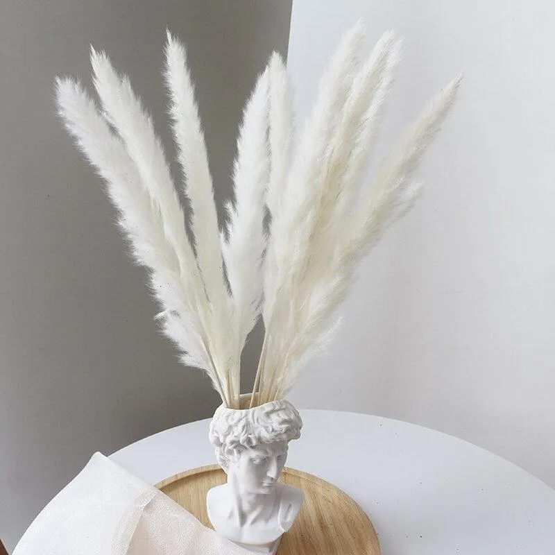 Elegant Dried Pampas Grass Arrangement for Trendy Home Styling