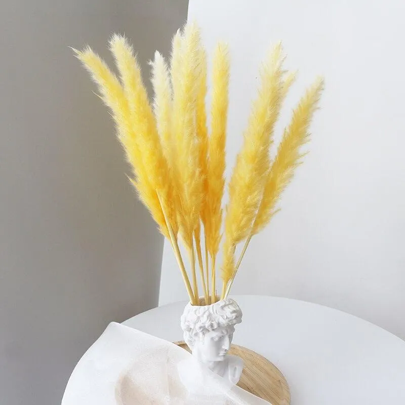 Elegant Dried Pampas Grass Arrangement for Trendy Home Styling