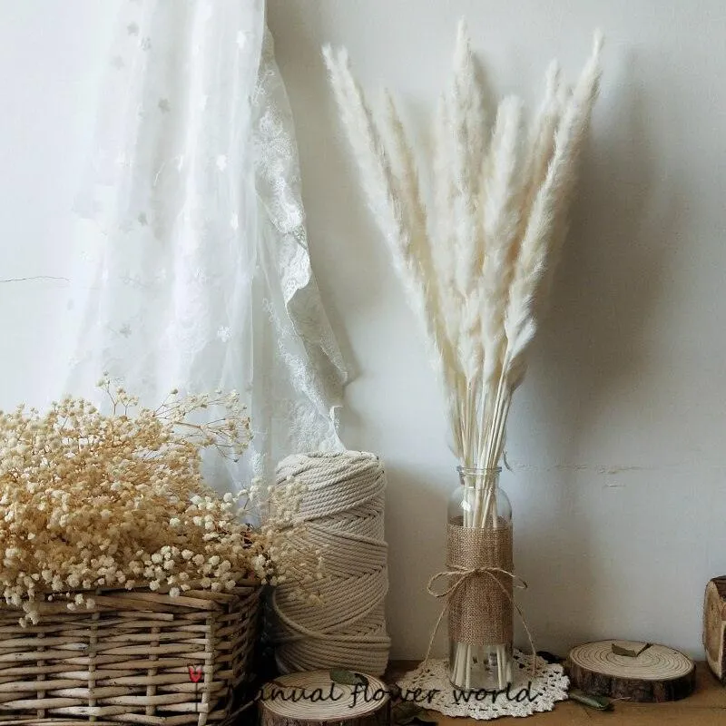 Elegant Dried Pampas Grass Arrangement for Trendy Home Styling