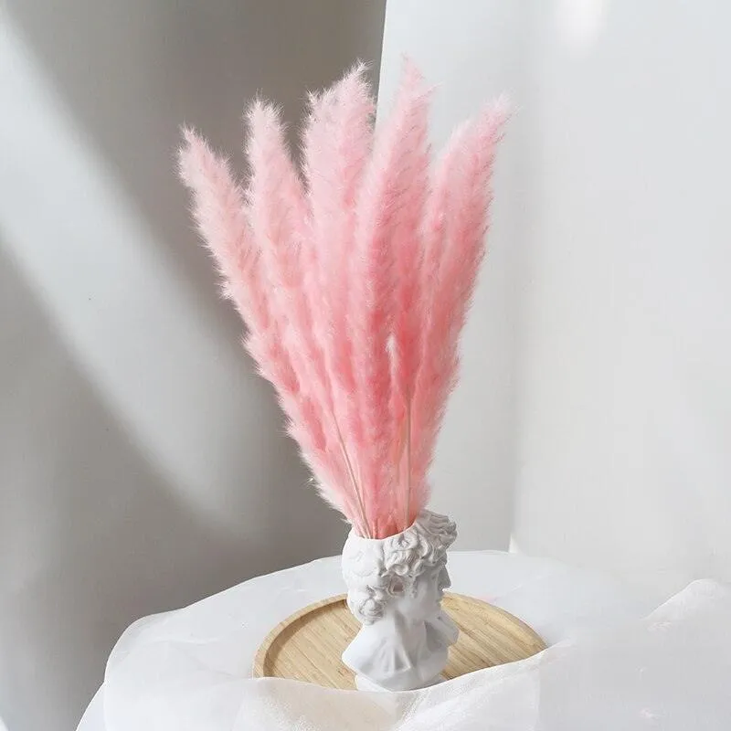 Elegant Dried Pampas Grass Arrangement for Trendy Home Styling